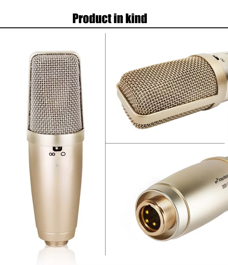 新品 キッズマイク スタンド付き カラオケ 歌 音楽 楽器  - Kids Microphone Karaoke のレビューと価格