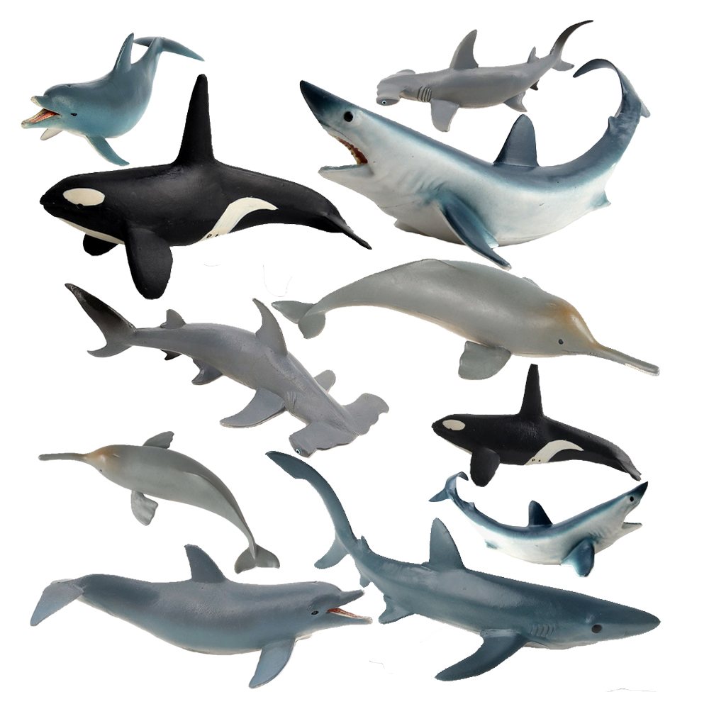 絶滅危惧種の海洋動物の置物キラー サメ シャチ ベルーガ ク - Kids Toys 10 Year Old のレビューと価格
