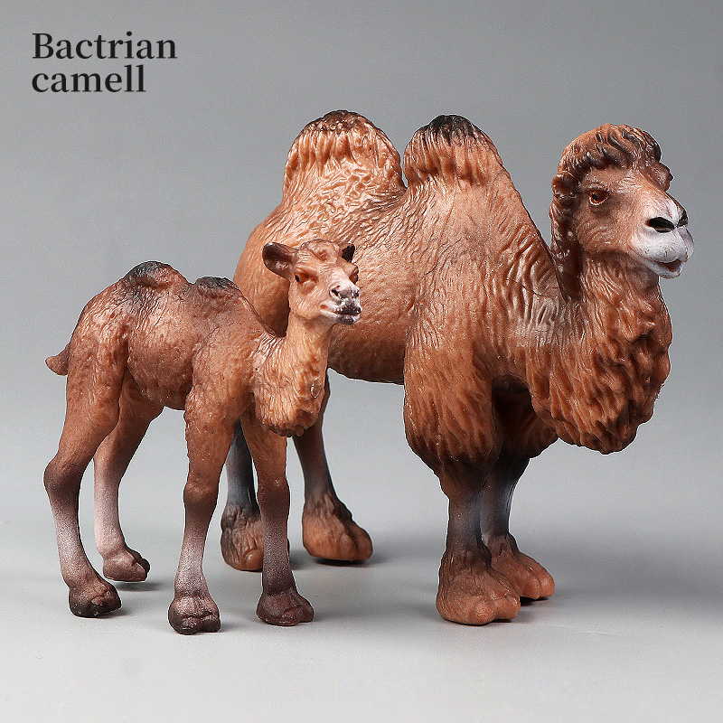 新しい野生動物世界 ソリッドシミュレーション ラクダ 動物モ - Kids Toys Packaging のレビューと価格